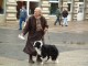 Thumbs/tn_PolizeirufTessaBlow-029.jpg